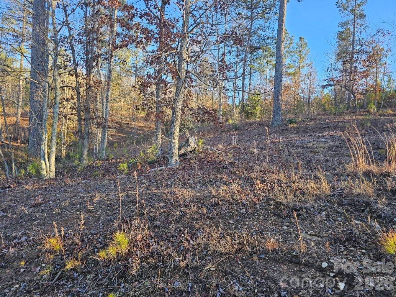 Property Photo:  2167 Inlet Shore Road NE  NC 28612 