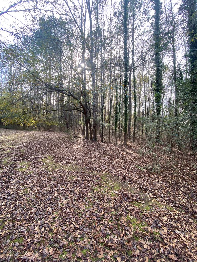 Property Photo: Lot 81 Woodland Drive GA 31804