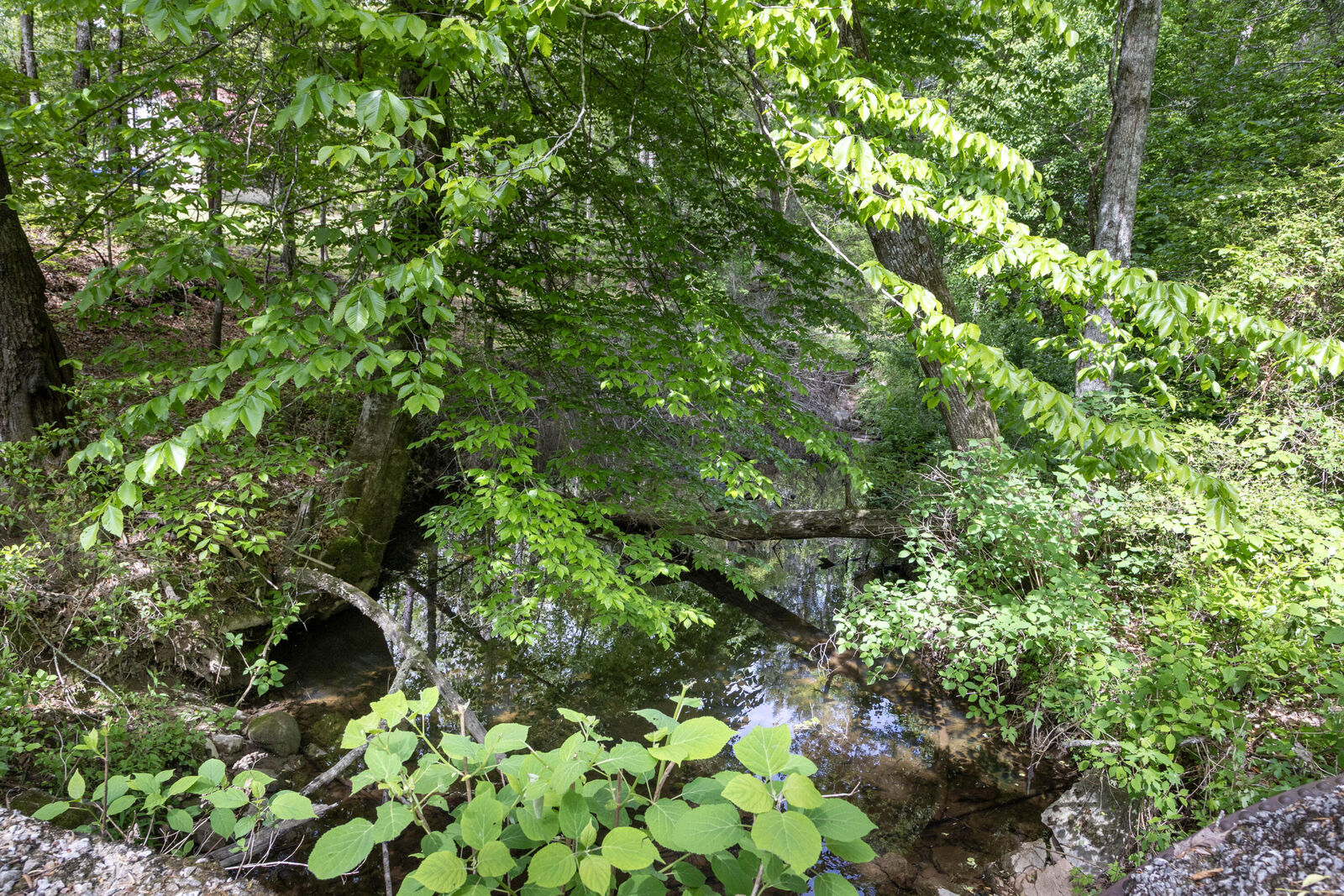 Property Photo:  000 Summers Home Lane  TN 37321 