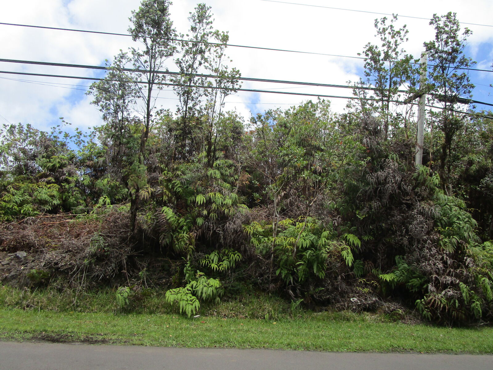 Property Photo:  Palainui Ave  HI 96771 