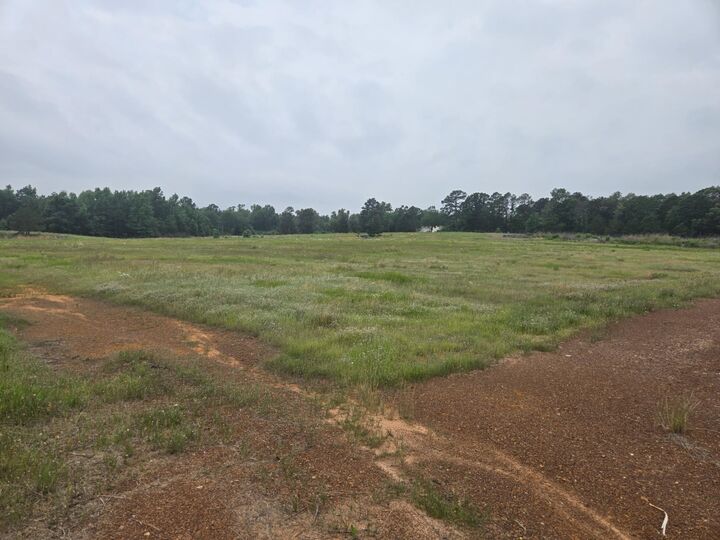 Property Photo:  Tbd State Highway 42 Cr 474  TX 75652 