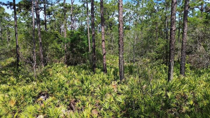 Property Photo:  S Apopka Vineland Road  FL 32821 