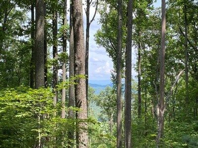Property Photo:  Lot 1 High Country Lane  GA 30560 