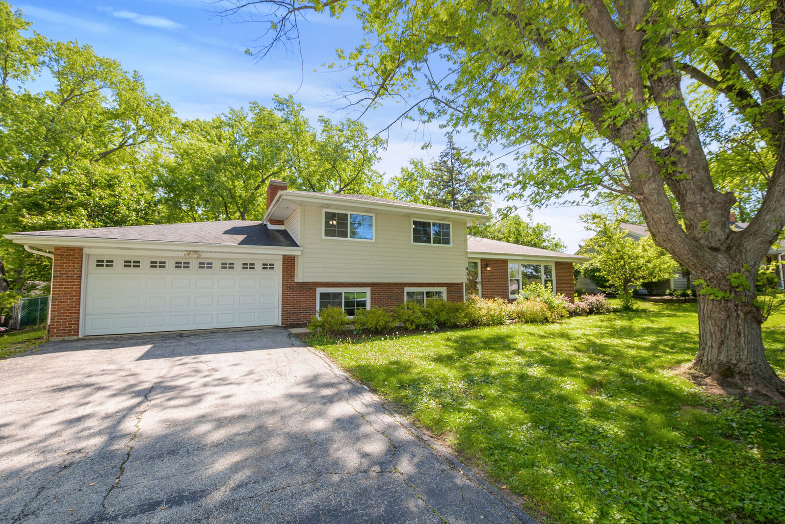 Property Photo:  433 Hackberry Road  IL 60423 