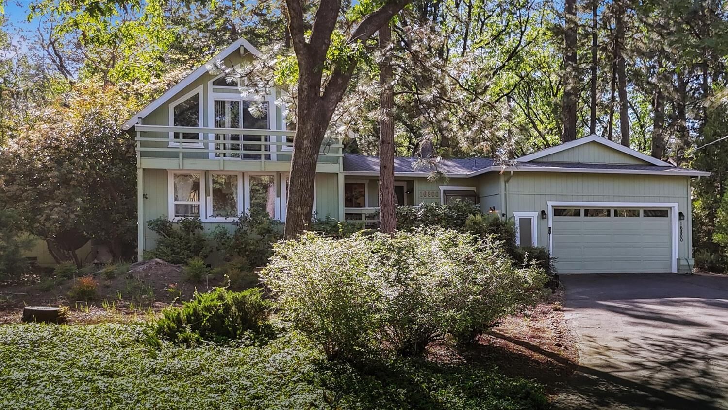 Property Photo:  16800 Scott Way  CA 95949 
