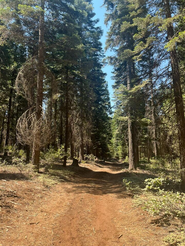 Property Photo:  30205 N Bloomfield-Graniteville Road  CA 95959 