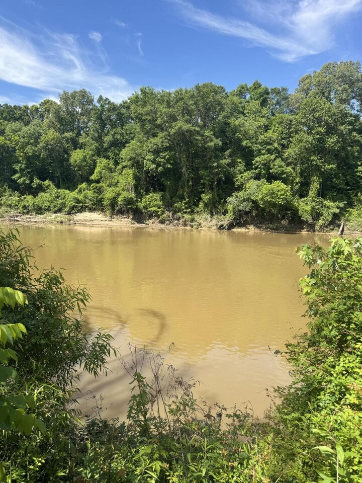 Property Photo:  Cannon Hole  MS 38821 