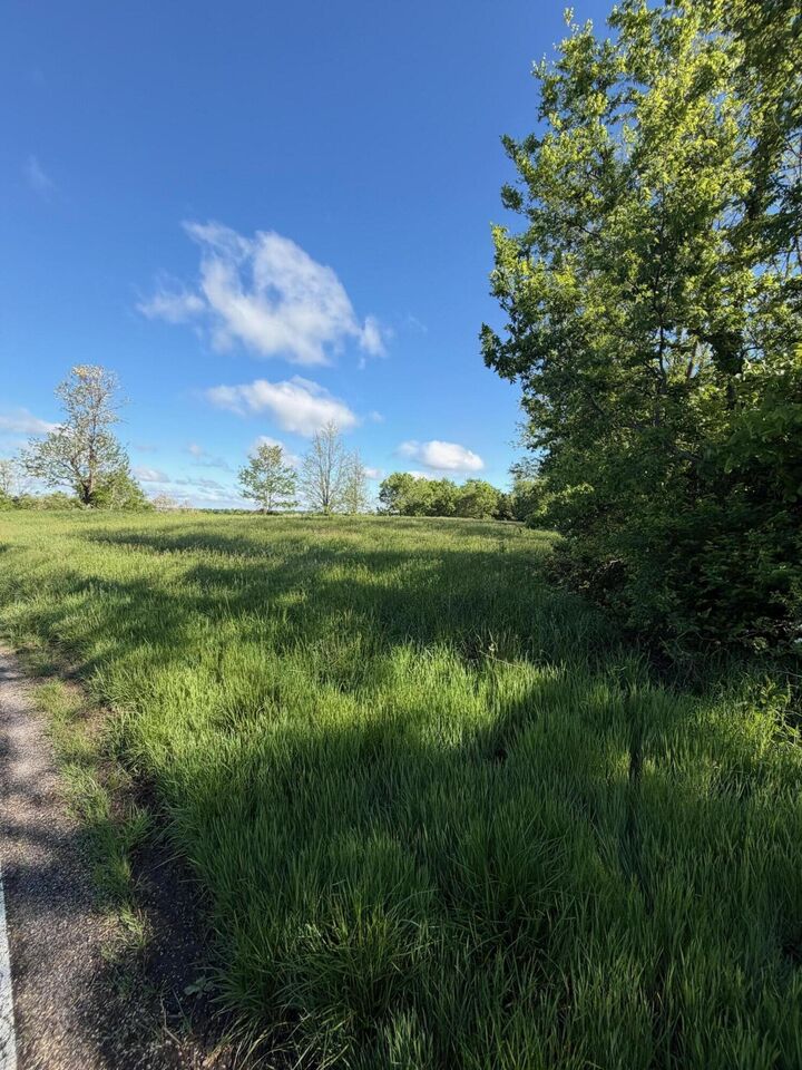 Property Photo:  11.19 Ac Chipman Ridge Road  KY 41097 