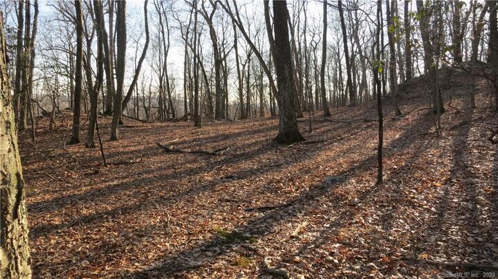 Property Photo:  67 Umpawaug Road  CT 06896 