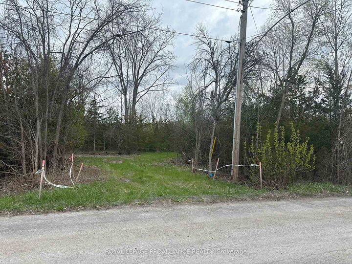 147 Peterson Street — photo 1