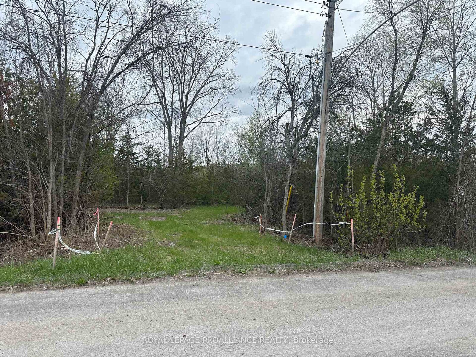 Property Photo:  147 Peterson Street  ON K8V 5P8 