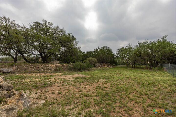 Property Photo:  1645 Agarita Drive  TX 78623 