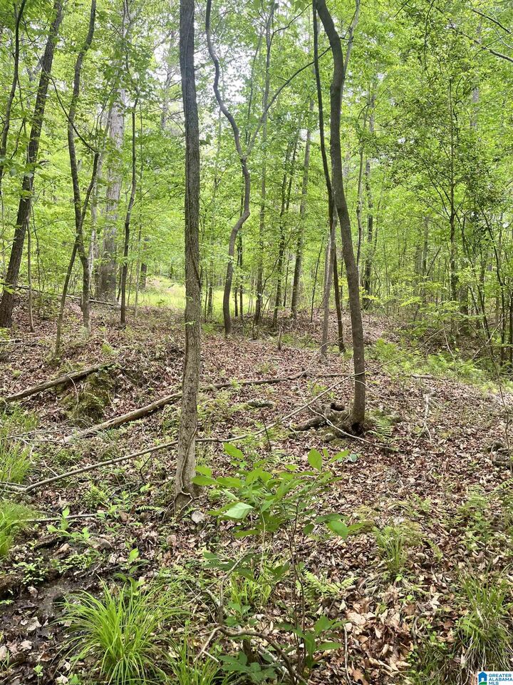 Property Photo:  0 County Road 928 10  AL 36258 
