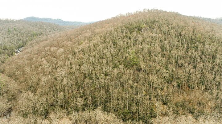 Property Photo:  Lot 324 Twin Rivers Drive  NC 28607 