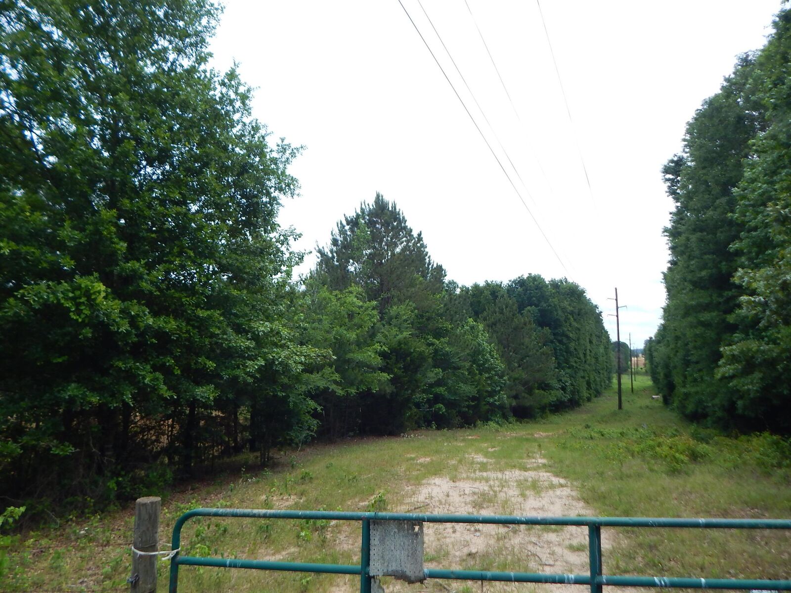 Property Photo:  Tbd 15 Acre Locust Rd.  TX 75645 