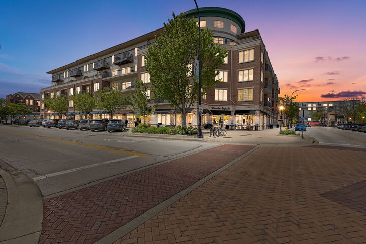 Property Photo:  100 S Emerson Street 205  IL 60056 