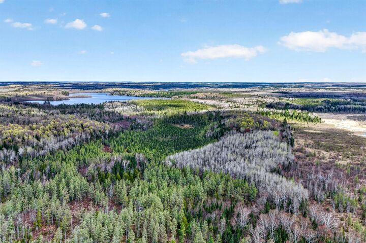 Property Photo:  8225 N Blaisdell Lake  WI 54896 