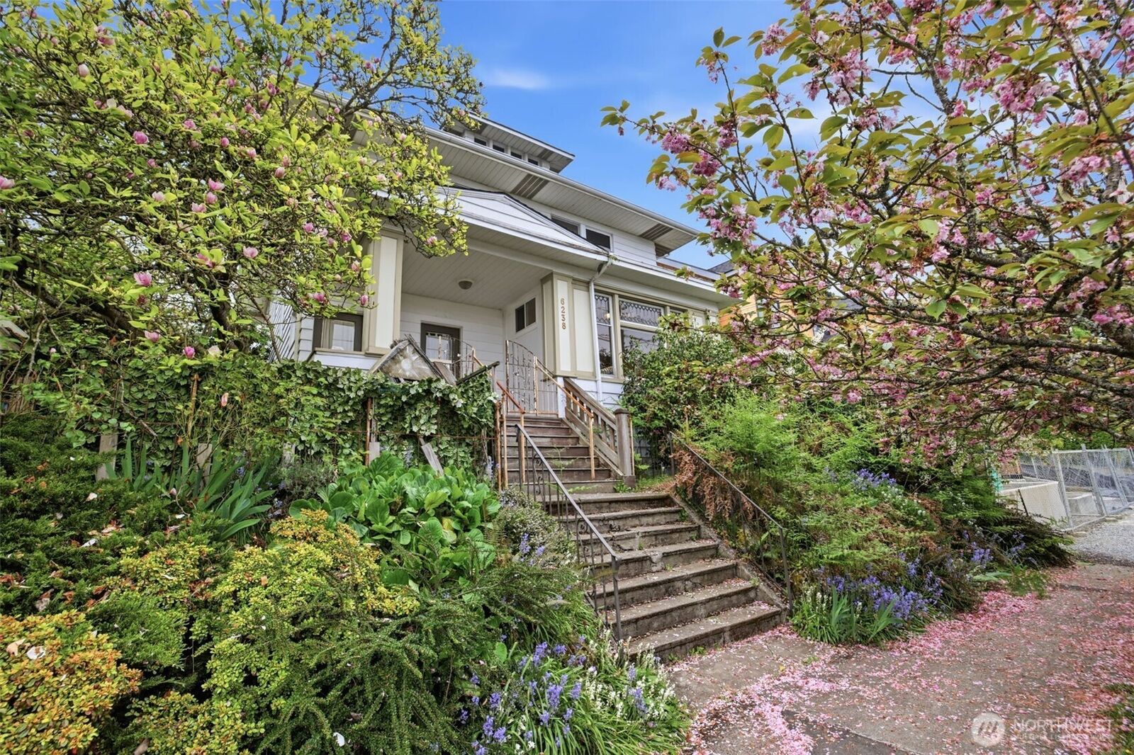 Property Photo:  6238  Woodlawn Avenue N  WA 98103 