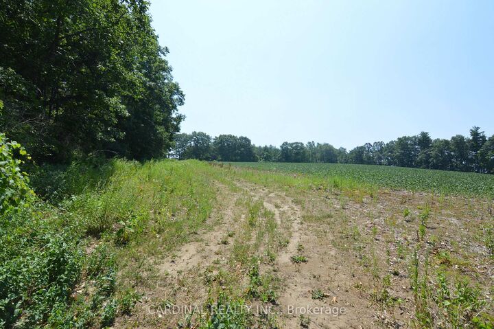 Property Photo: 0 Browns/George - Vacant Lot Road ON K0K 2X0