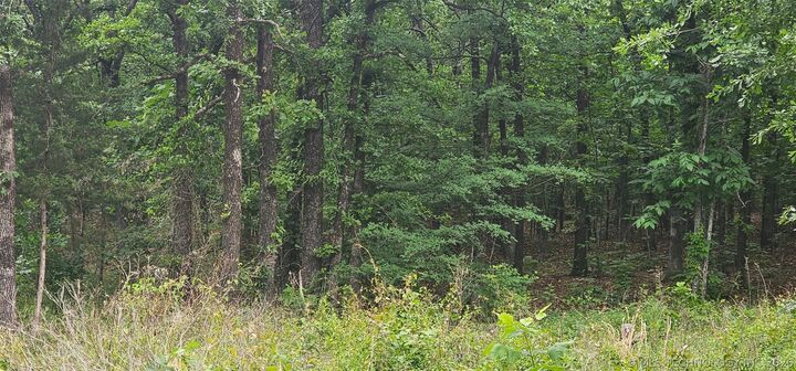Property Photo:  00000 4630 Road  OK 74955 