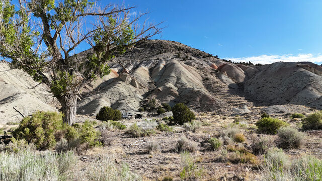 Property Photo:  1550 E Pepper Way  UT 84654 