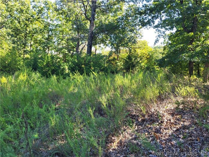Property Photo:  32534 Compromise Road  MO 65037 