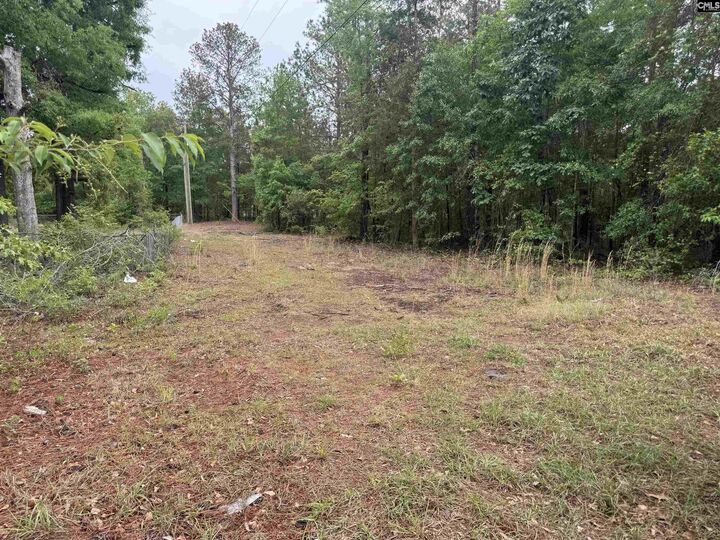 Property Photo:  500 Bowman  SC 29045 