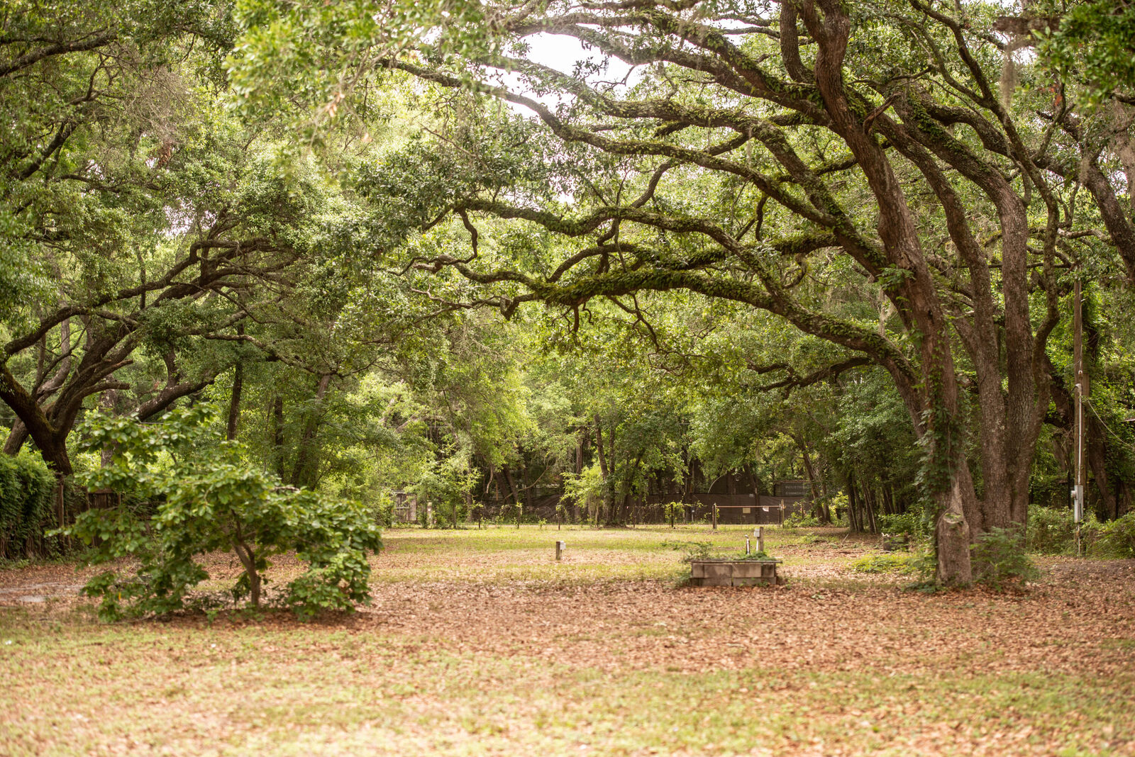 Property Photo:  14332 Florida 20  FL 32439 