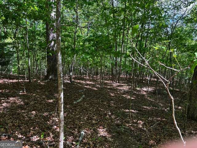 Property Photo:  Lot 43 Edgewood Trail  GA 30512 