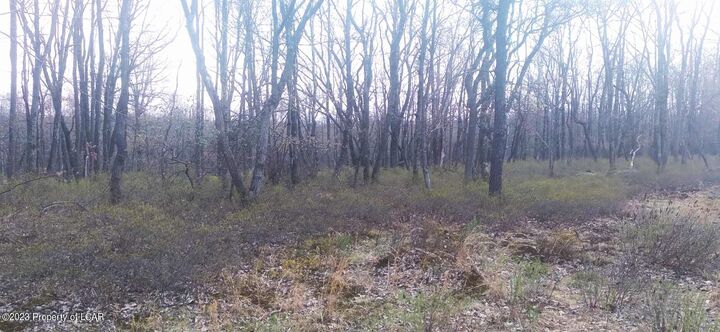Property Photo: Erii 398 Crooked Stick Lane PA 18202