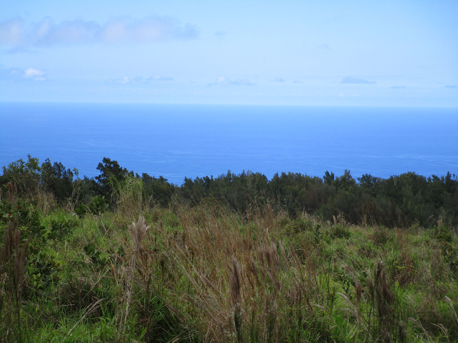 Property Photo: 36-660 Spencer Rd HI 96764