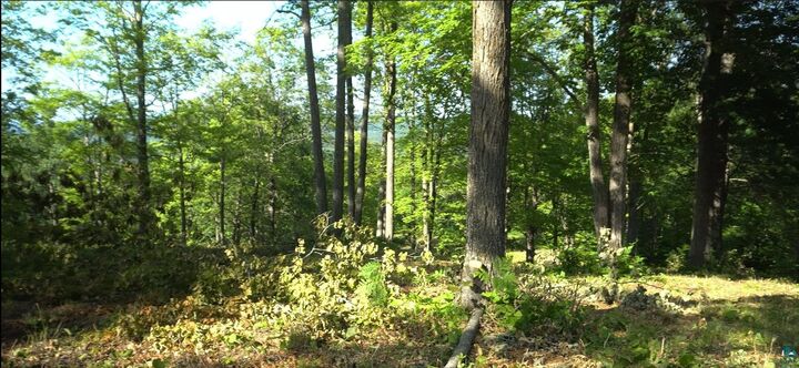 Property Photo:  83xxx Ashwabay Heights Rd  WI 54814 