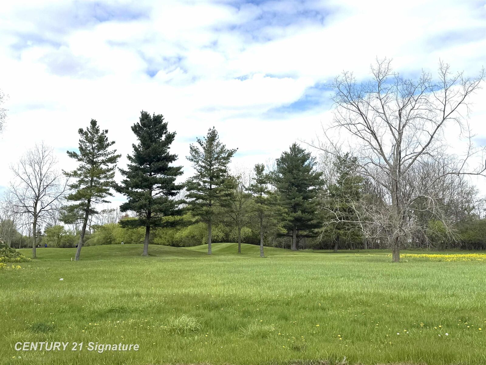 Property Photo:  Lot 107 Sawmill Creek Trail  MI 48603 