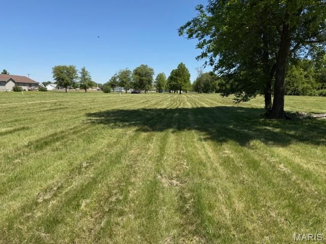 Property Photo:  00 Illinois Avenue S  MO 63801 