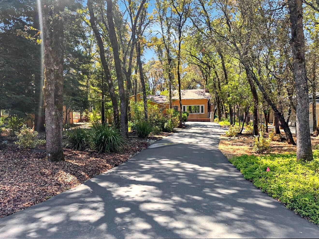 Property Photo:  23164 Broadmoor Court  CA 95602 