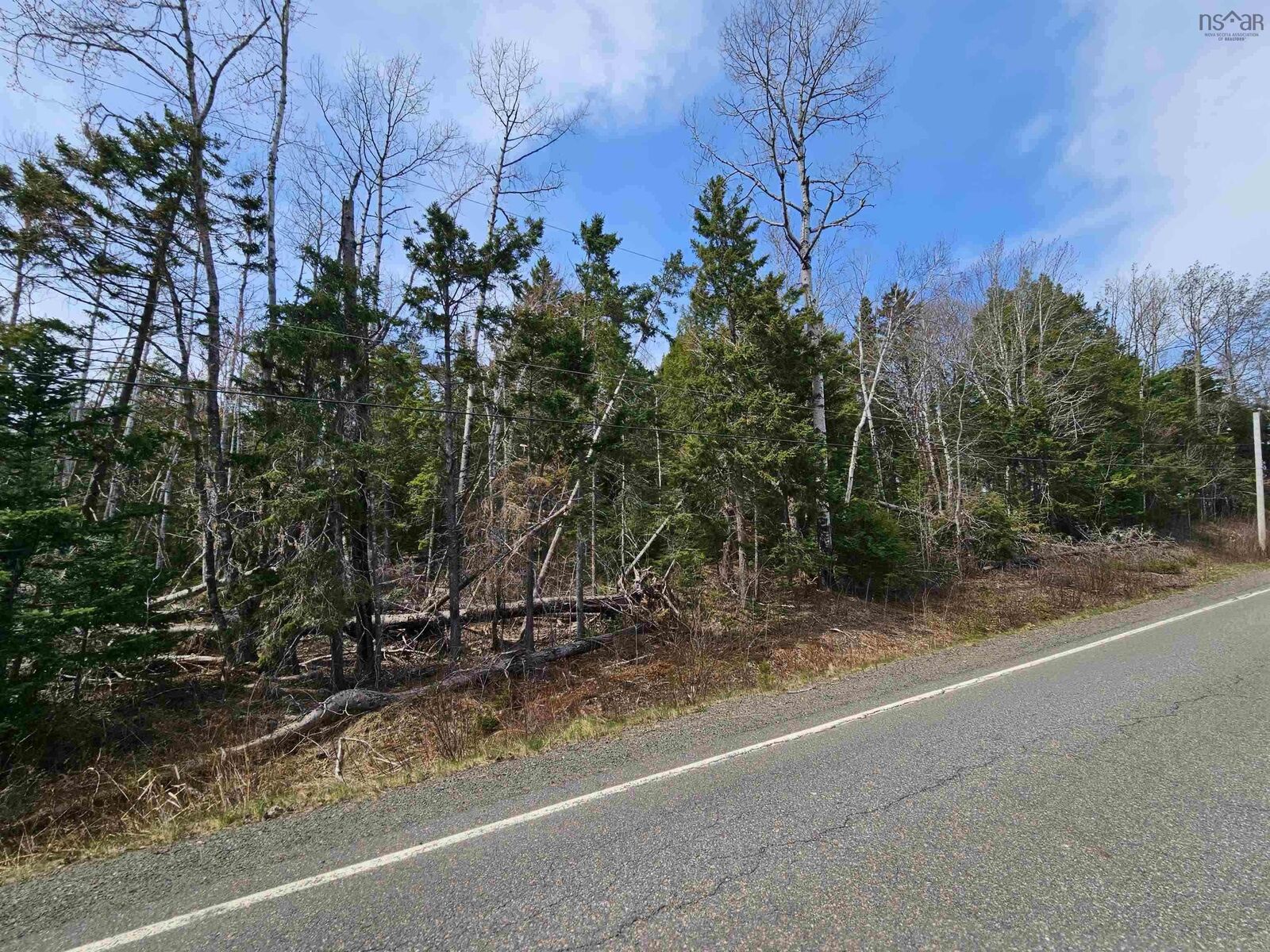 Property Photo:  Lot B Highway 326  NS B0K 1V0 