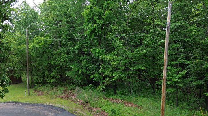 Property Photo:  Lot 11 Worlaby Lane  AR 72715 