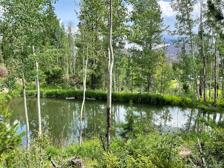 Property Photo:  134 Mad Moose Lane  CO 80447 