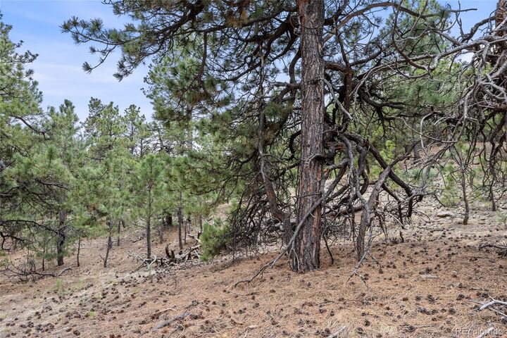 Property Photo:  8653 N Teacup Road  CO 80106 
