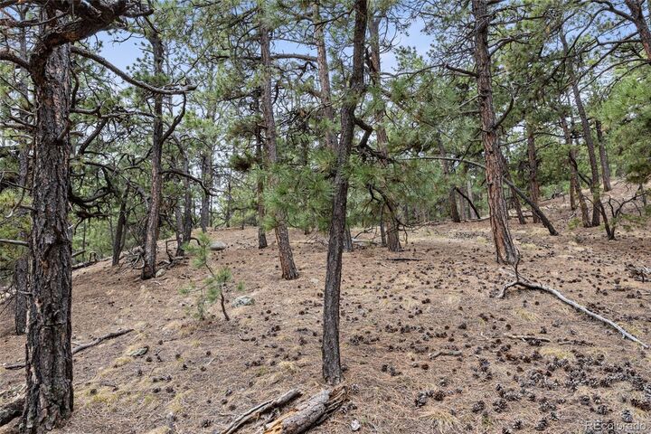 Property Photo: 8653 N Teacup Road CO 80106