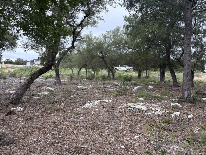 Property Photo:  1464 Stahlman Way  TX 78132 