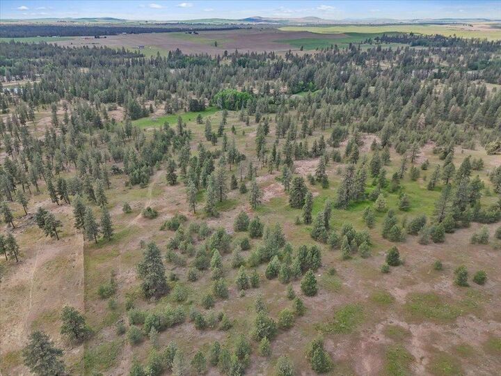 Property Photo:  Nka Malloy Prairie Rd Parcel B, 03032.9049  WA 99004 