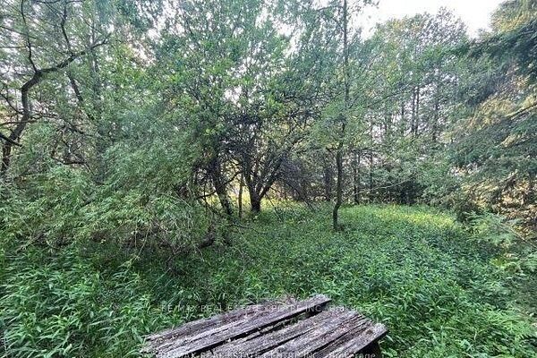 Property Photo:  034541 Sideroad 21-22 N/A  ON L9W 0H2 