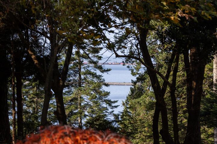 Property Photo:  535 English Bluff Road  BC V4M 2M9 
