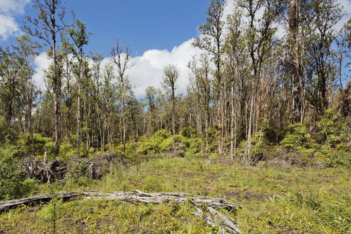 Property Photo:  Pikake St  HI 96771 