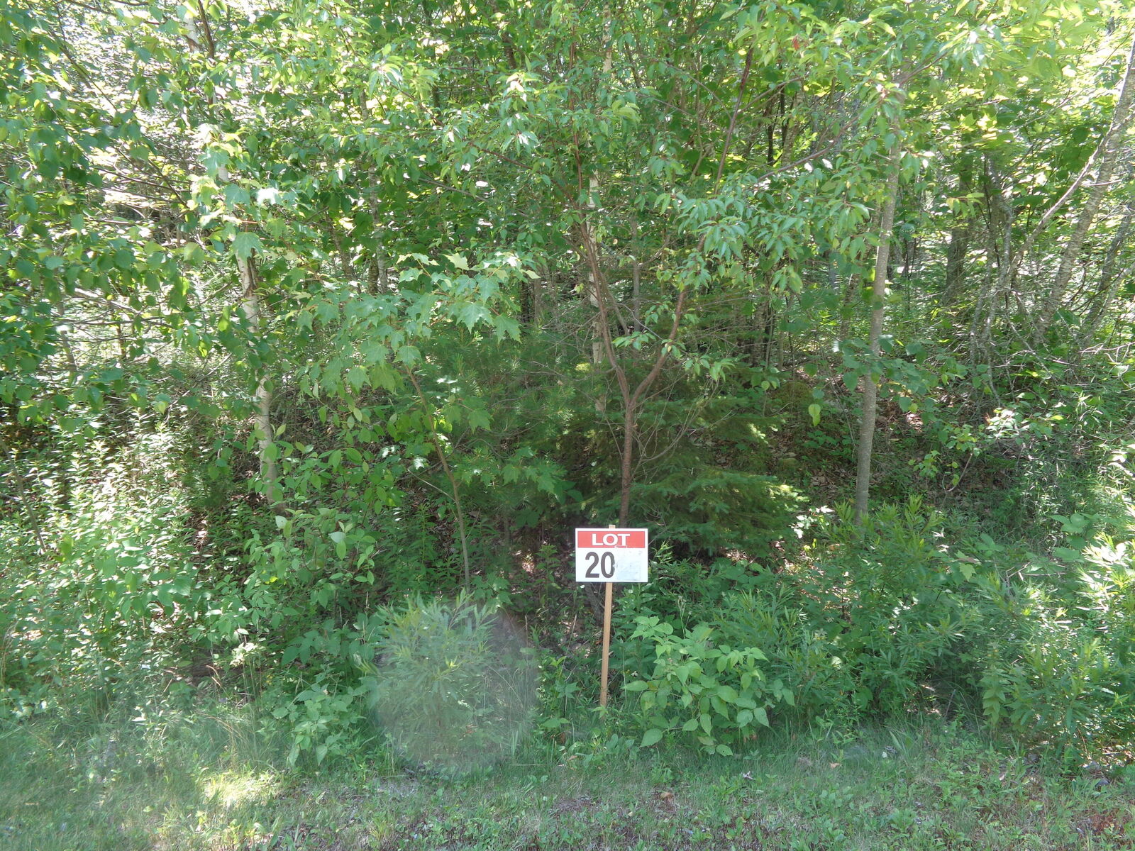 Property Photo: Lot20-20 Bailey Mountain Road ME 04634