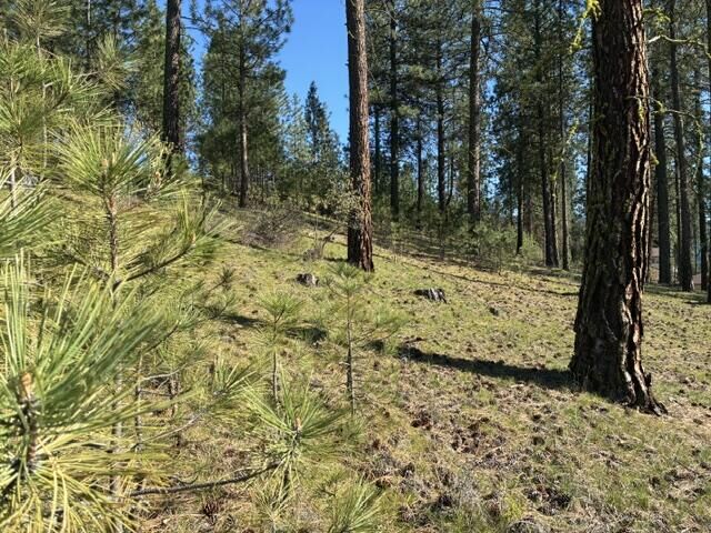 Property Photo:  1363 Arthur Ct  WA 99141 