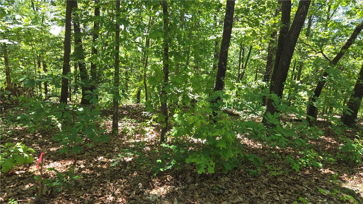 Property Photo:  Tummell Drive  AR 72715 