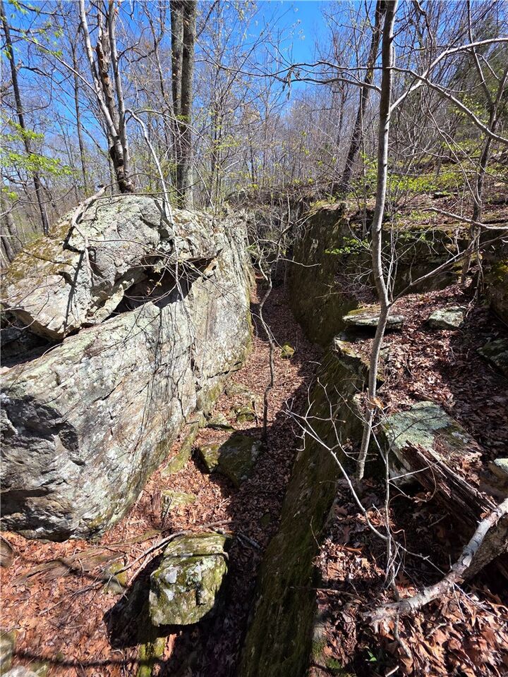 Property Photo:  Mountain Springs Rd  AR 72624 