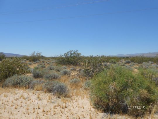 Property Photo:  Los Flores  CA 93527 